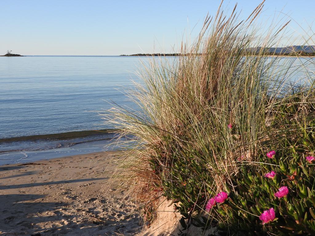 Готель Moomba Holiday And Caravan Park Port Sorell Екстер'єр фото
